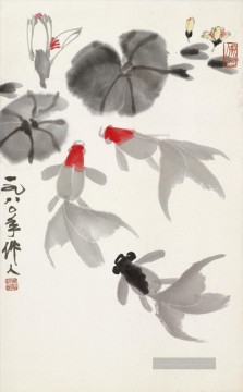 Wu Zuoren goldfishes 1980 Chinesische Malerei